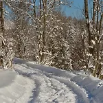 Penz 아파트