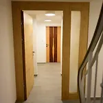 Penz * 플메스