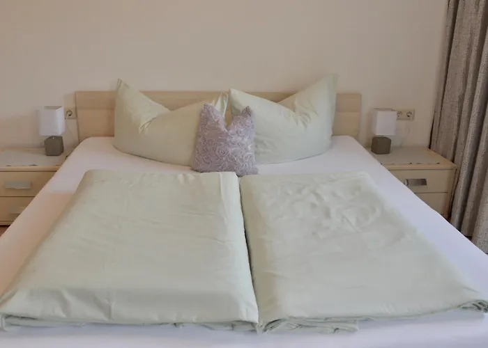 Penz * 富尔普梅斯