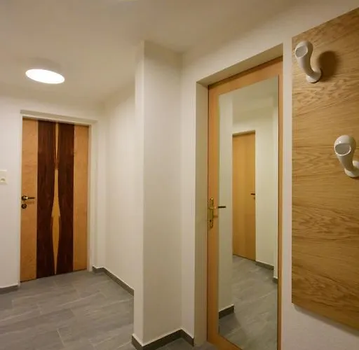 Penz 富尔普梅斯