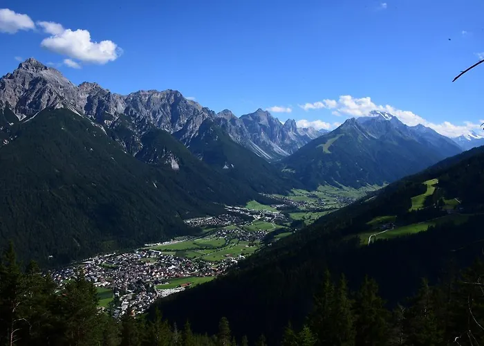 Penz 富尔普梅斯