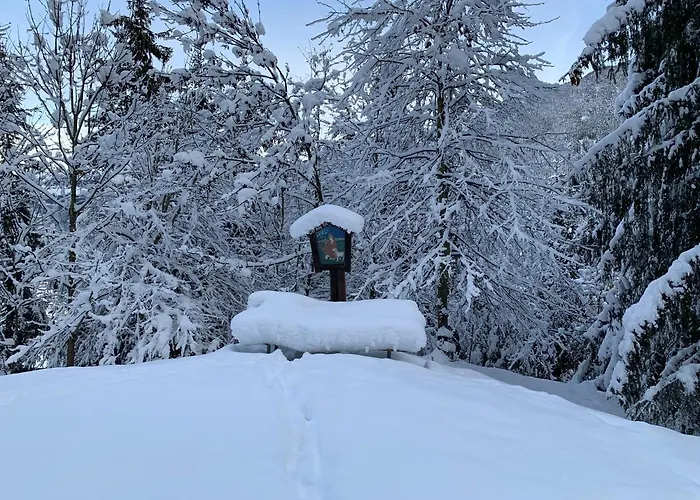 Penz Apartament Fulpmes